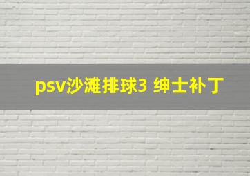 psv沙滩排球3 绅士补丁